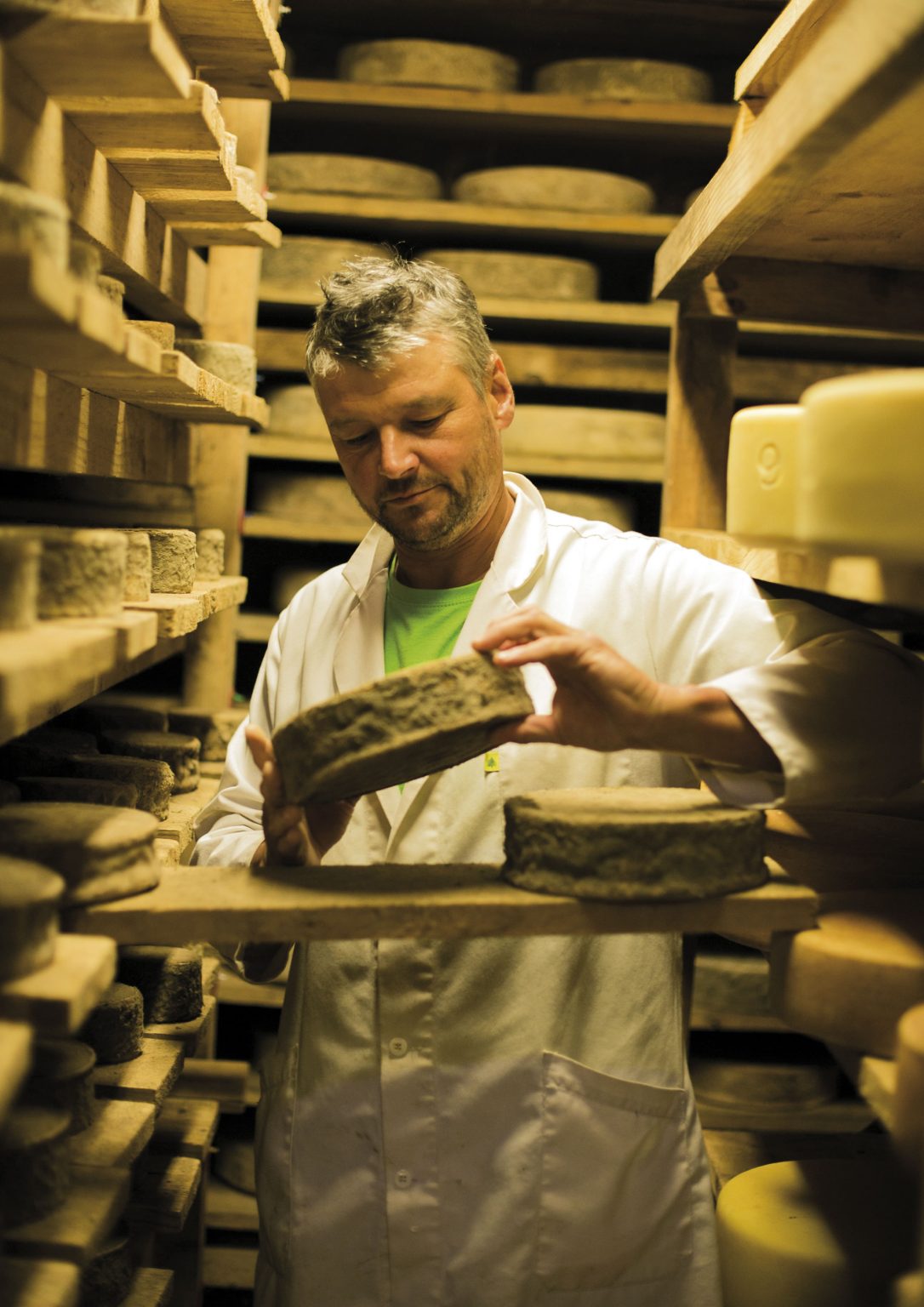 Serge Bordes en train d'inspecter le stade de maturation de ses fromages, ferme des Bouteillous, production fromagère pour le restaurant de groupes de L'Oustal Pont-les-Bains en Aveyron